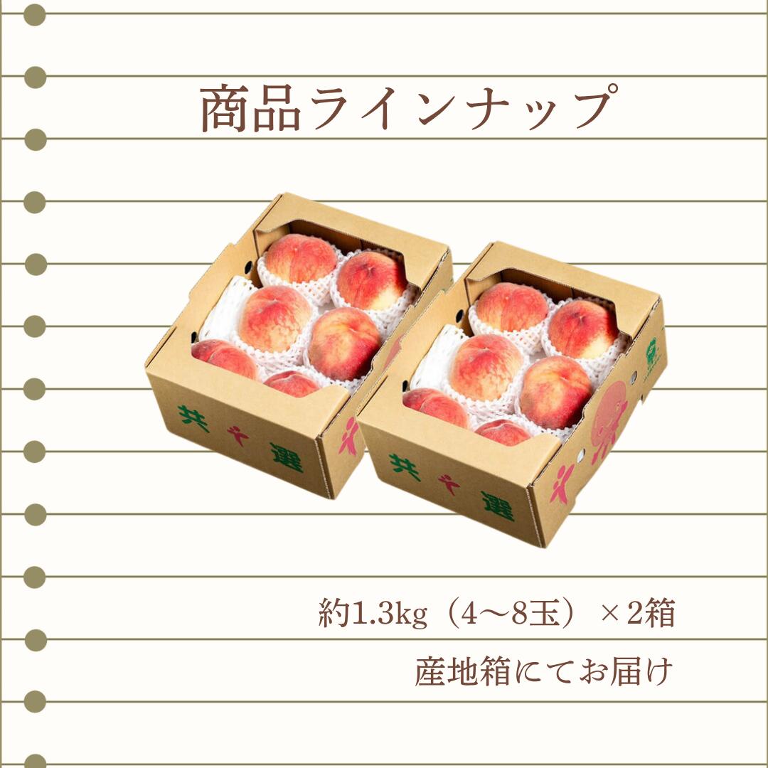 商品ラインナップ
