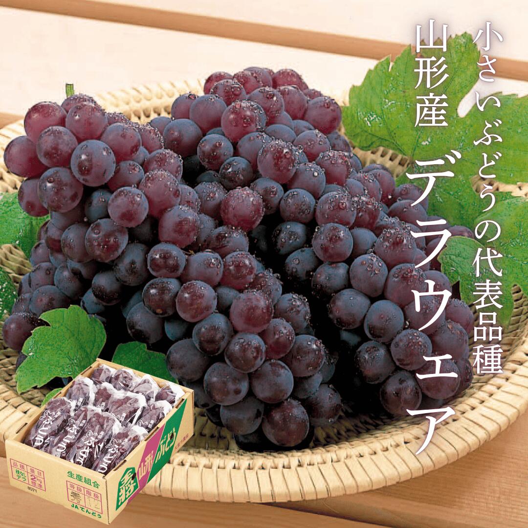 山形産デラウェア