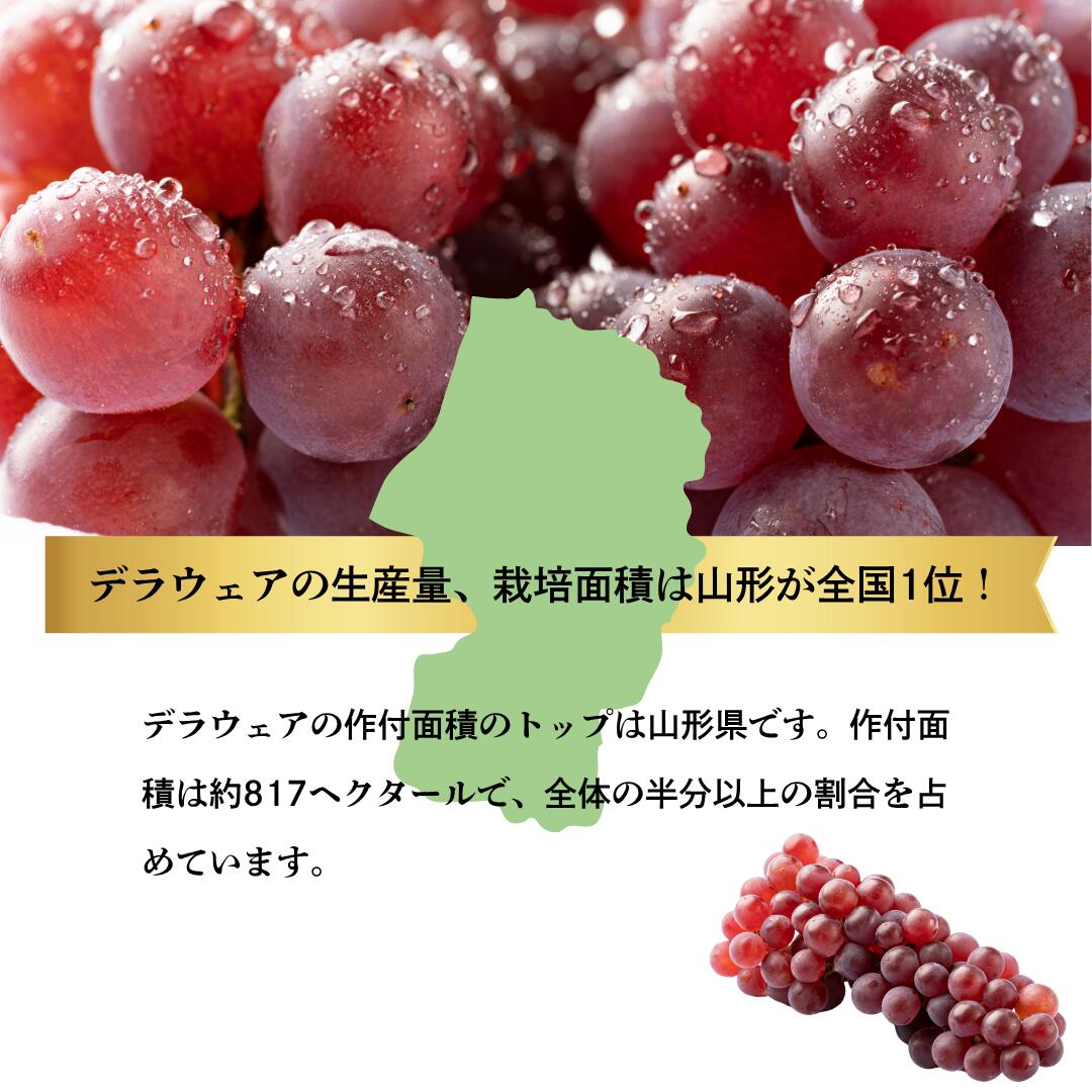 生産量全国1位の山形県