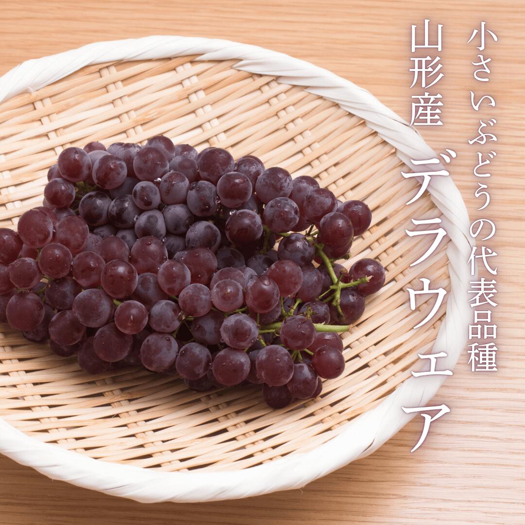 デラウェアイメージ