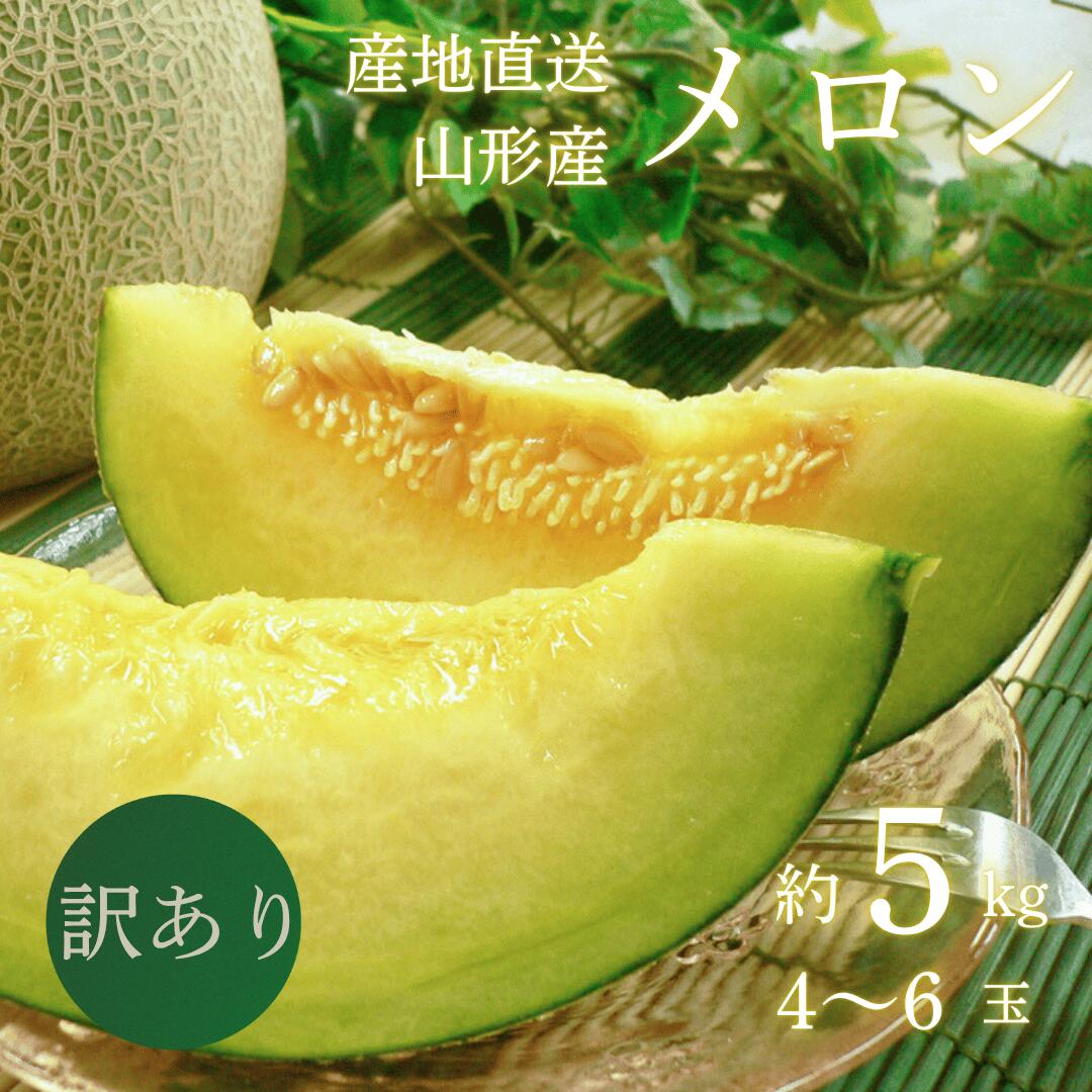 山形産訳ありメロン
