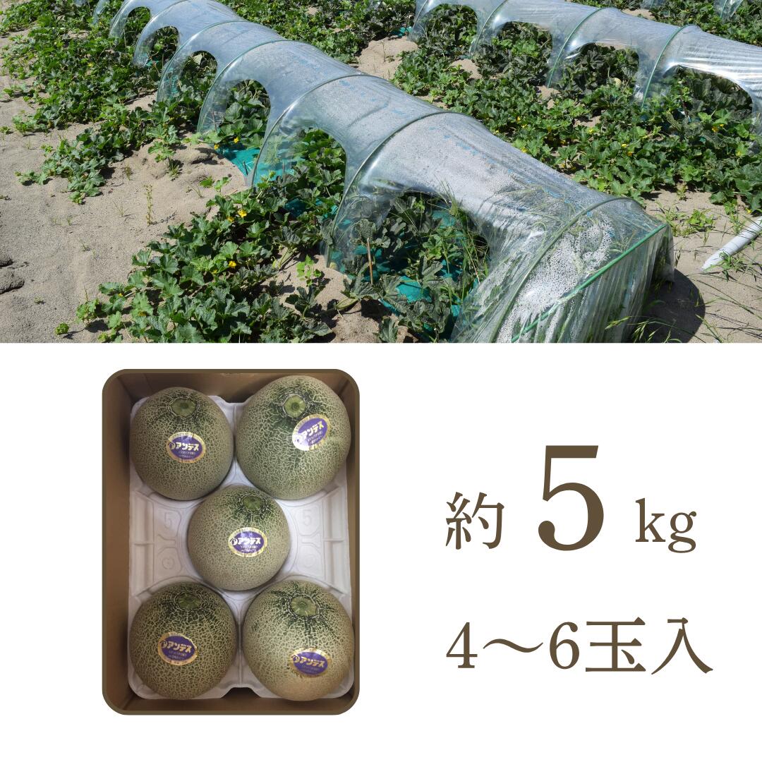 梱包イメージ