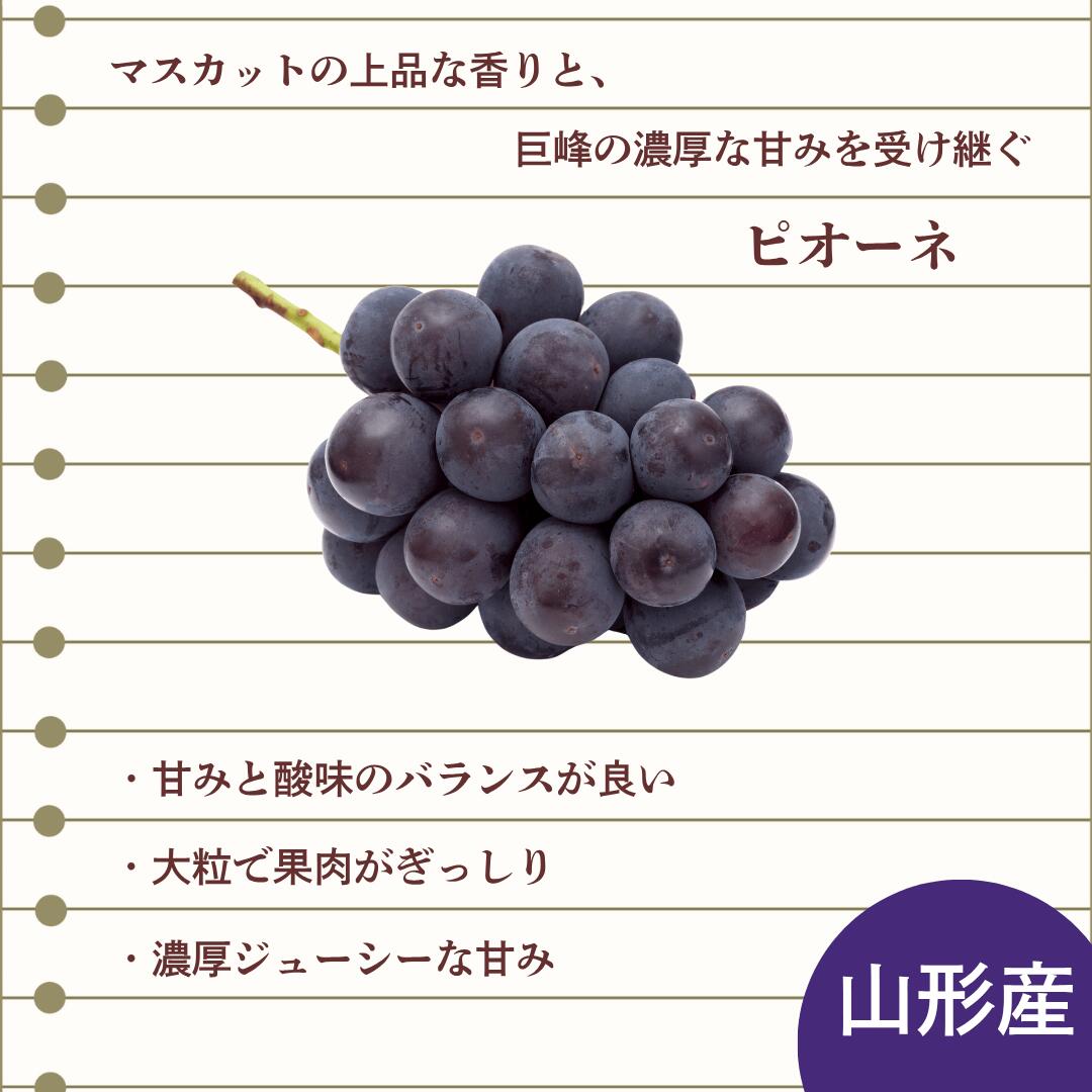 ピオーネとは