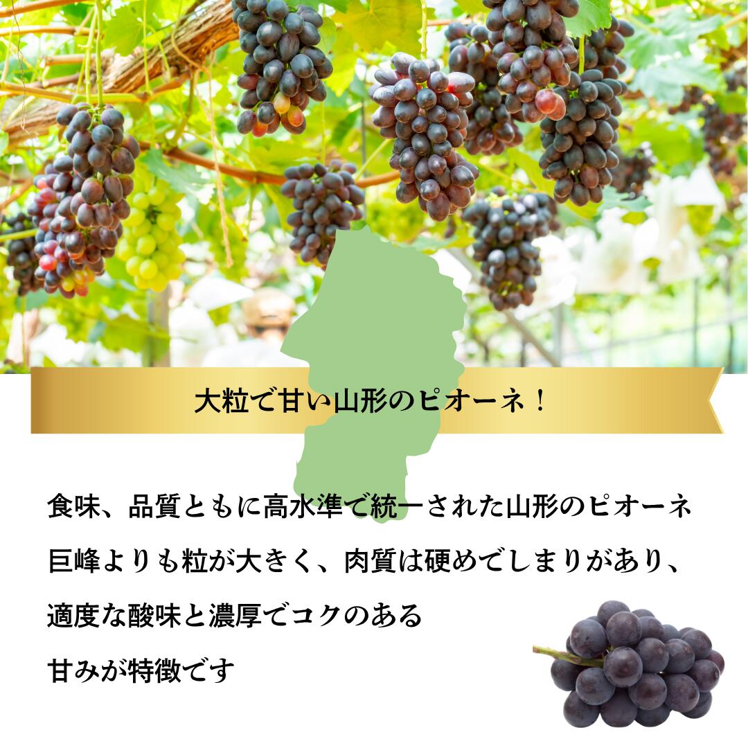 山形産ピオーネの特徴