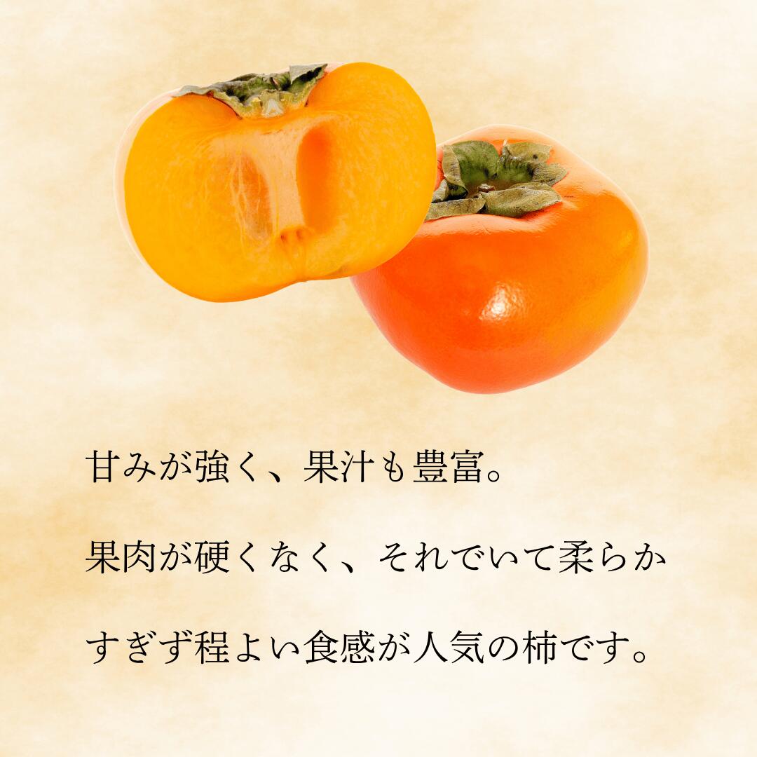 たねなし柿 家庭用 たっぷり 12kg ×2 送料込み 柿農家直送 特別栽培 たねなし柿（家庭用）- 堀内果実園オンラインショップ