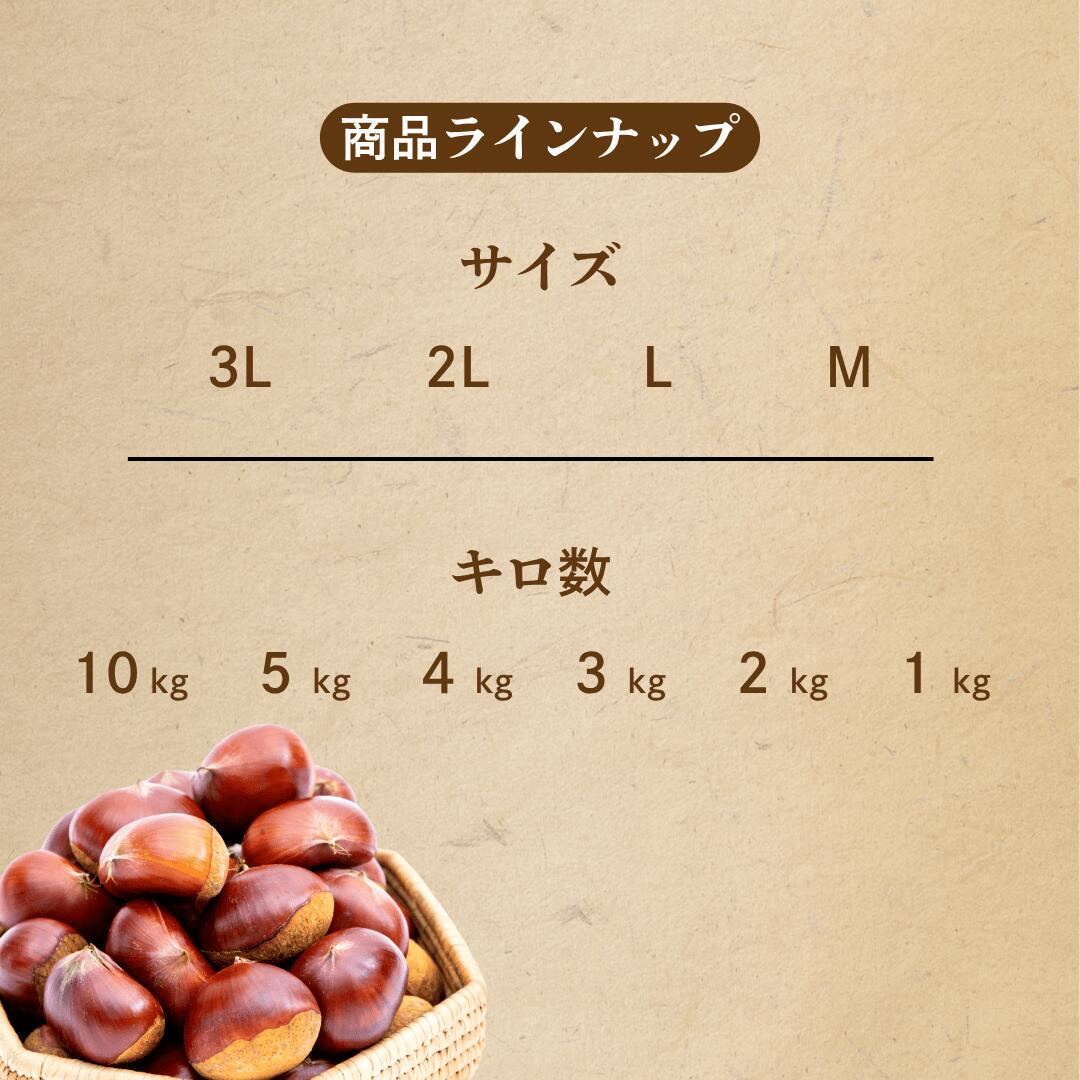 商品ラインナップ