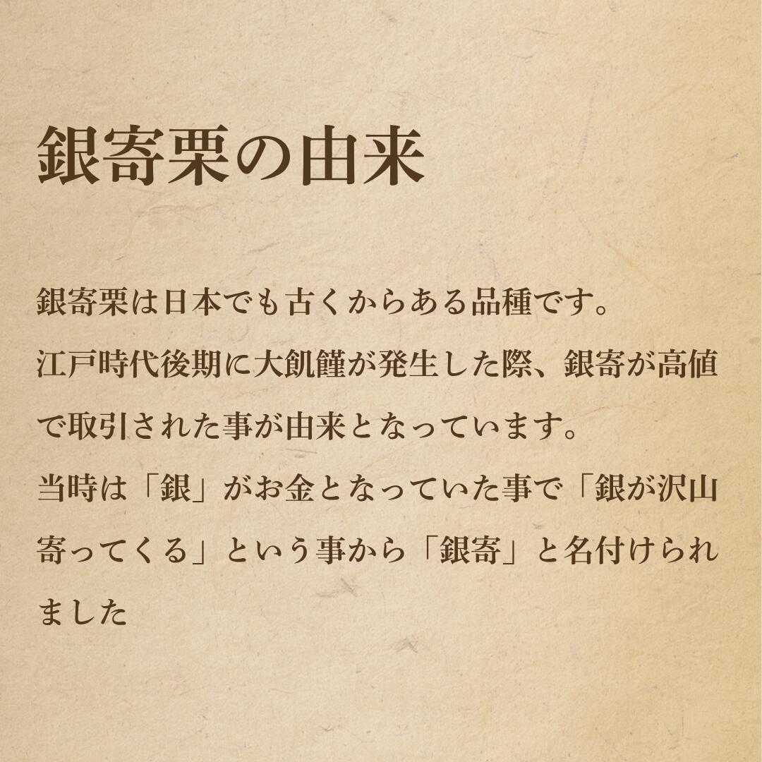 銀寄栗の名前の由来