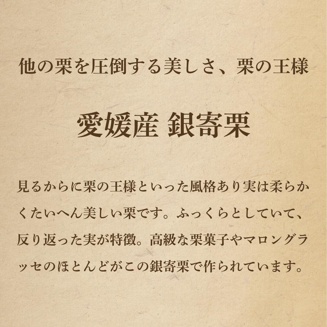銀寄栗について