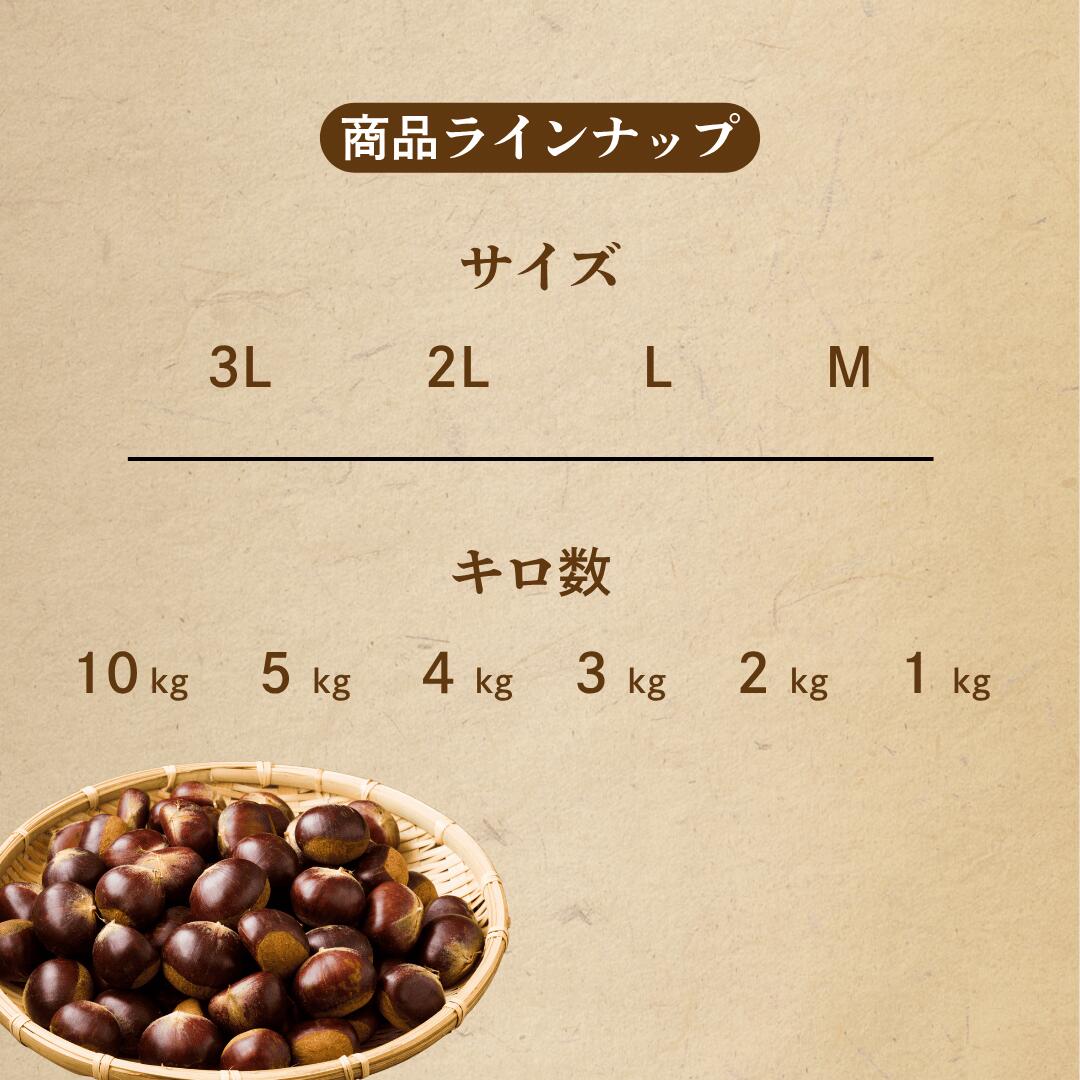 商品ラインナップ