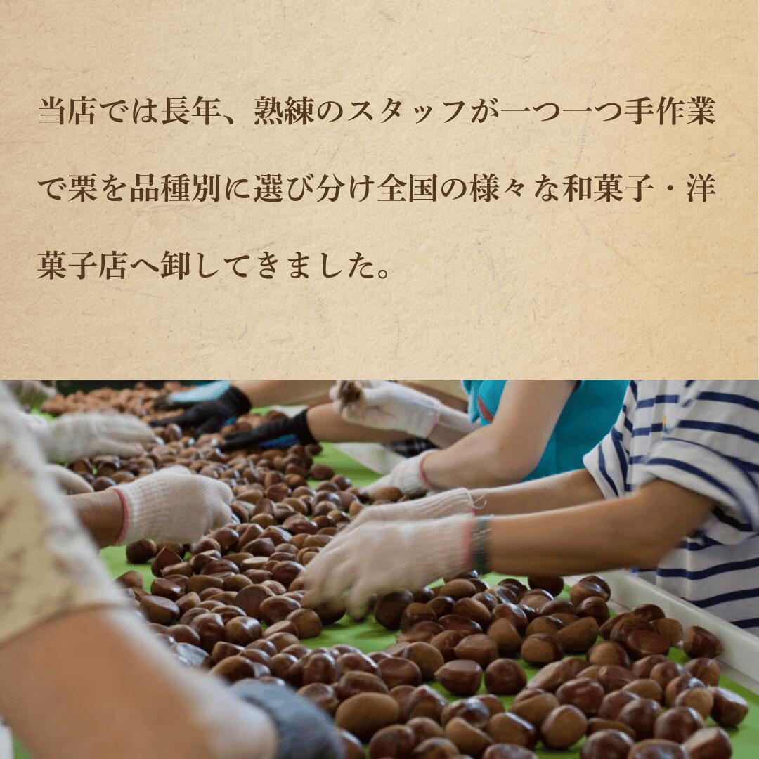 選別風景
