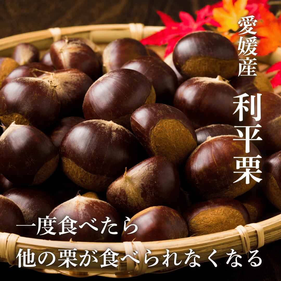 利平栗イメージ