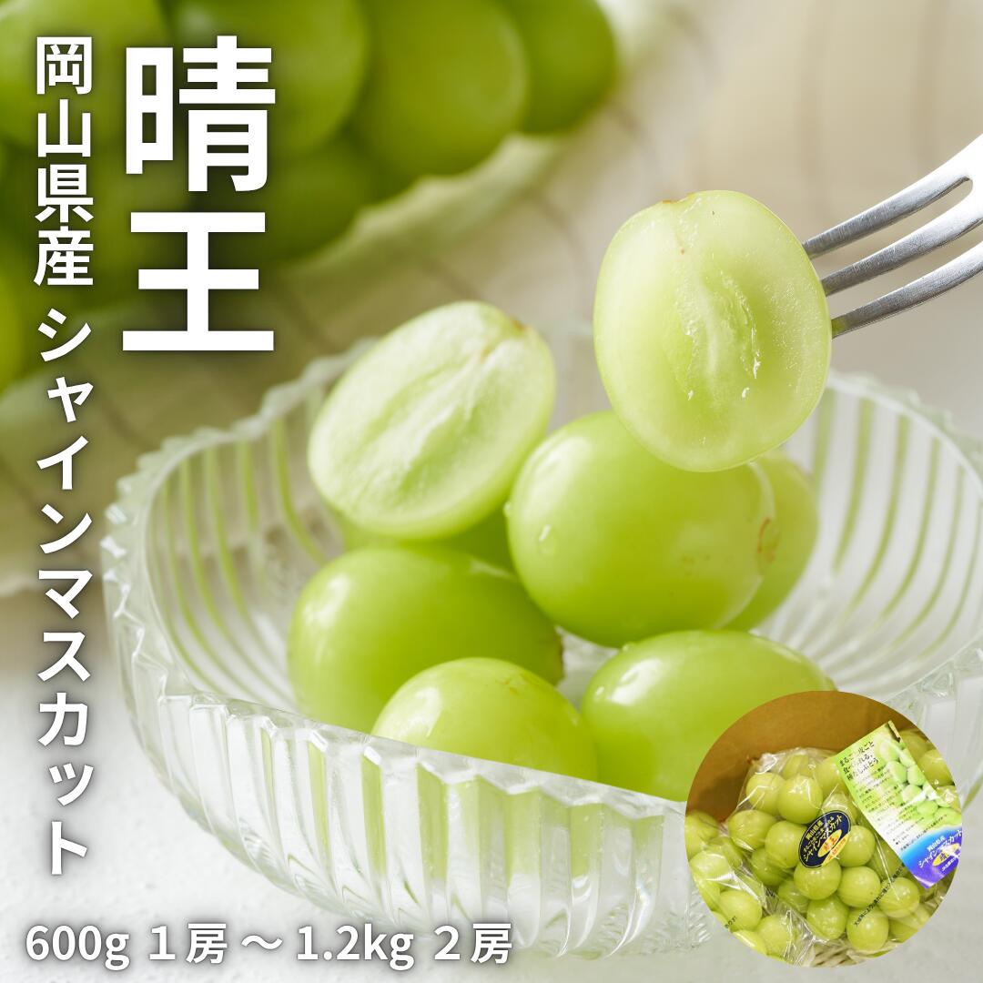 晴王』と呼ばれる岡山産のシャインマスカットから訳あり品が新登場！