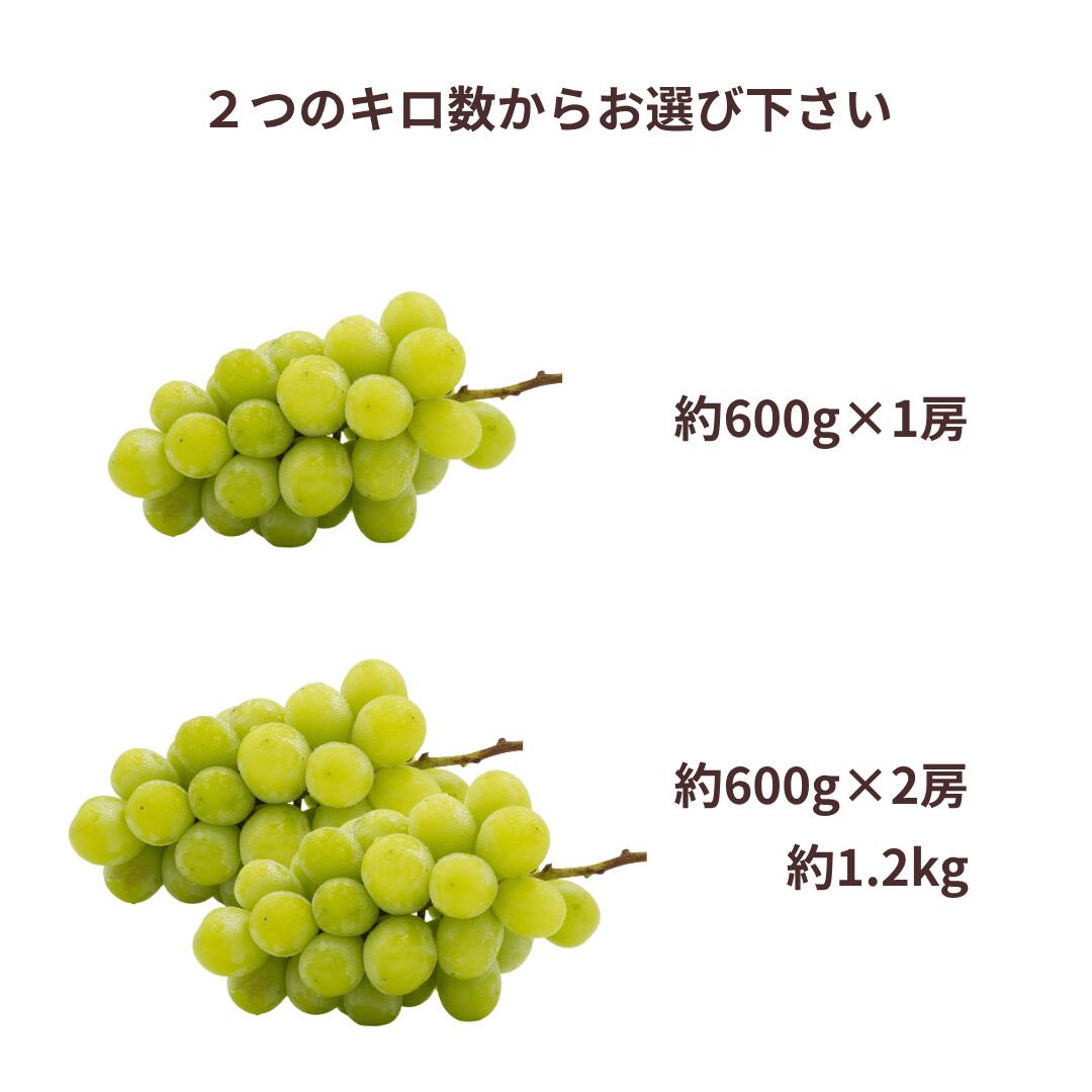 商品ラインナップ