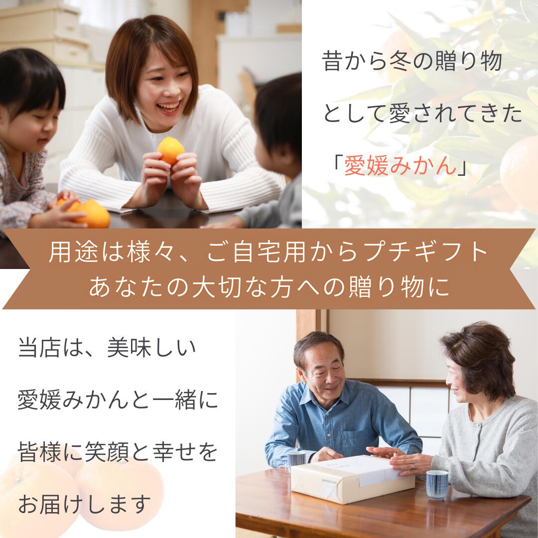 AN67 茶道具 座布団 五枚 紙箱 橙オレンジ色 美品 AN67 茶道具 座布団 五枚 紙箱 橙オレンジ色 美品 N110552697