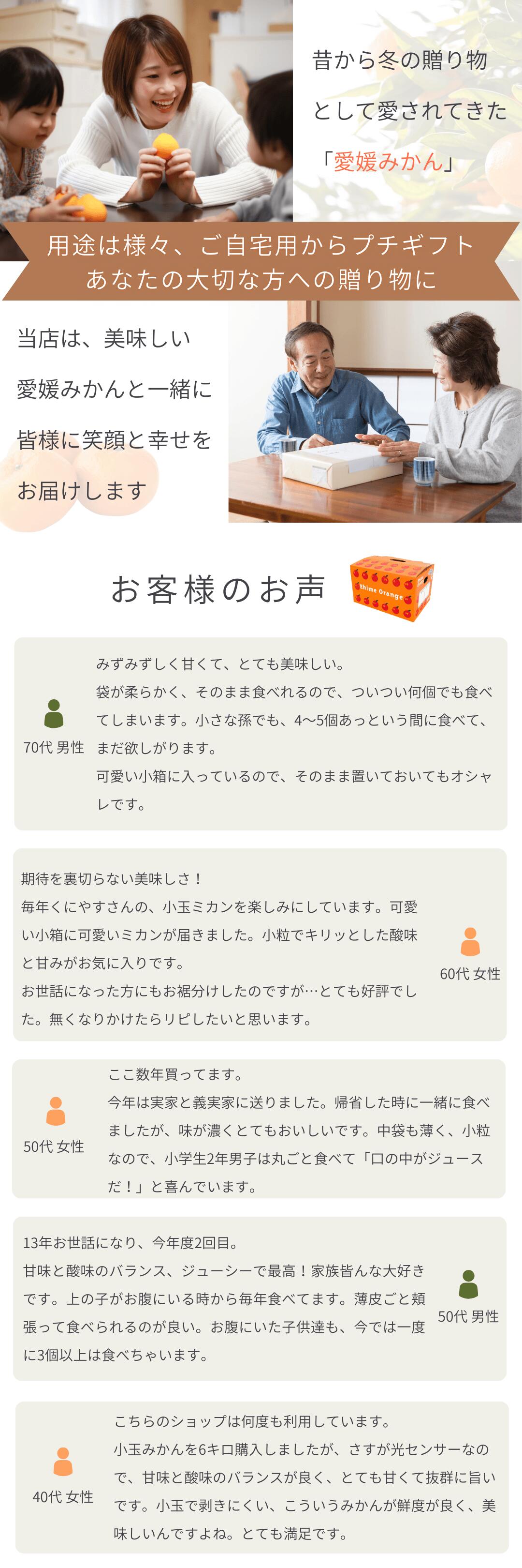 愛媛西宇和産の小玉みかんを産地直送でお届け！小ぶりサイズの果実に