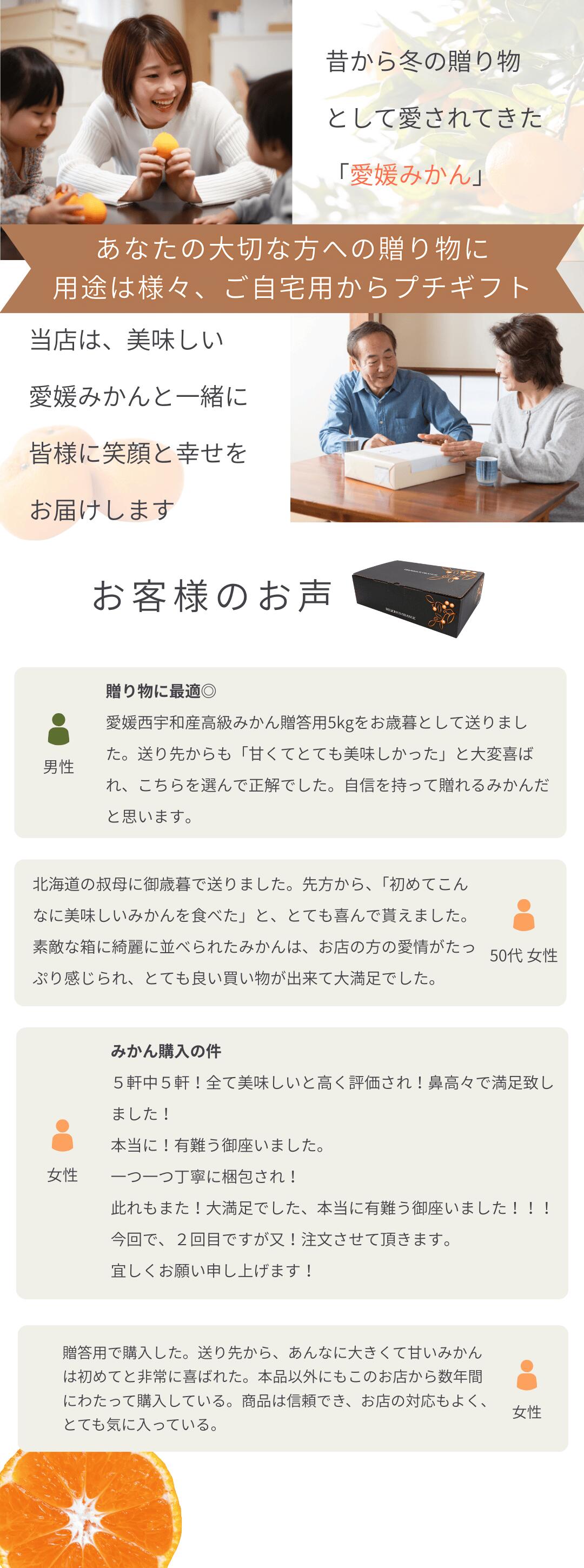 柑橘の一大産地・愛媛県西宇和地方より贈答みかんのご予約受付開始
