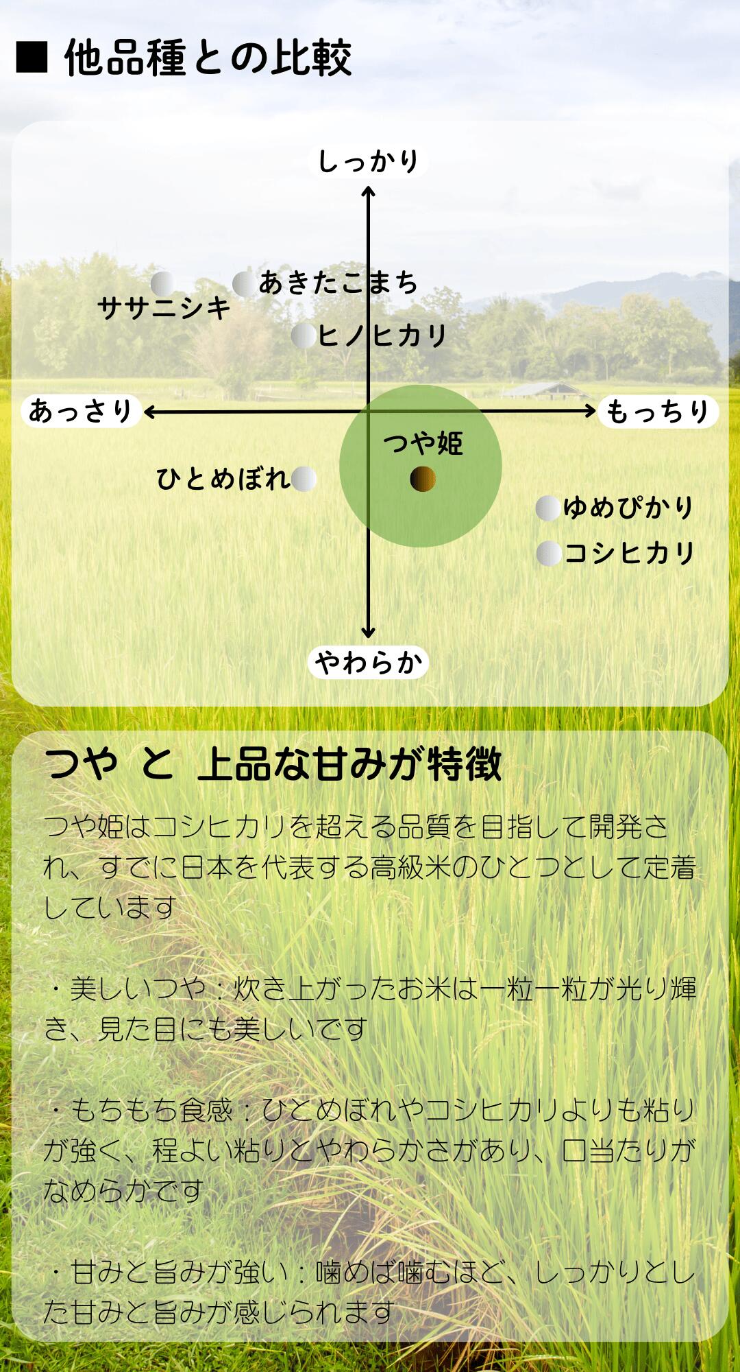 つや姫について