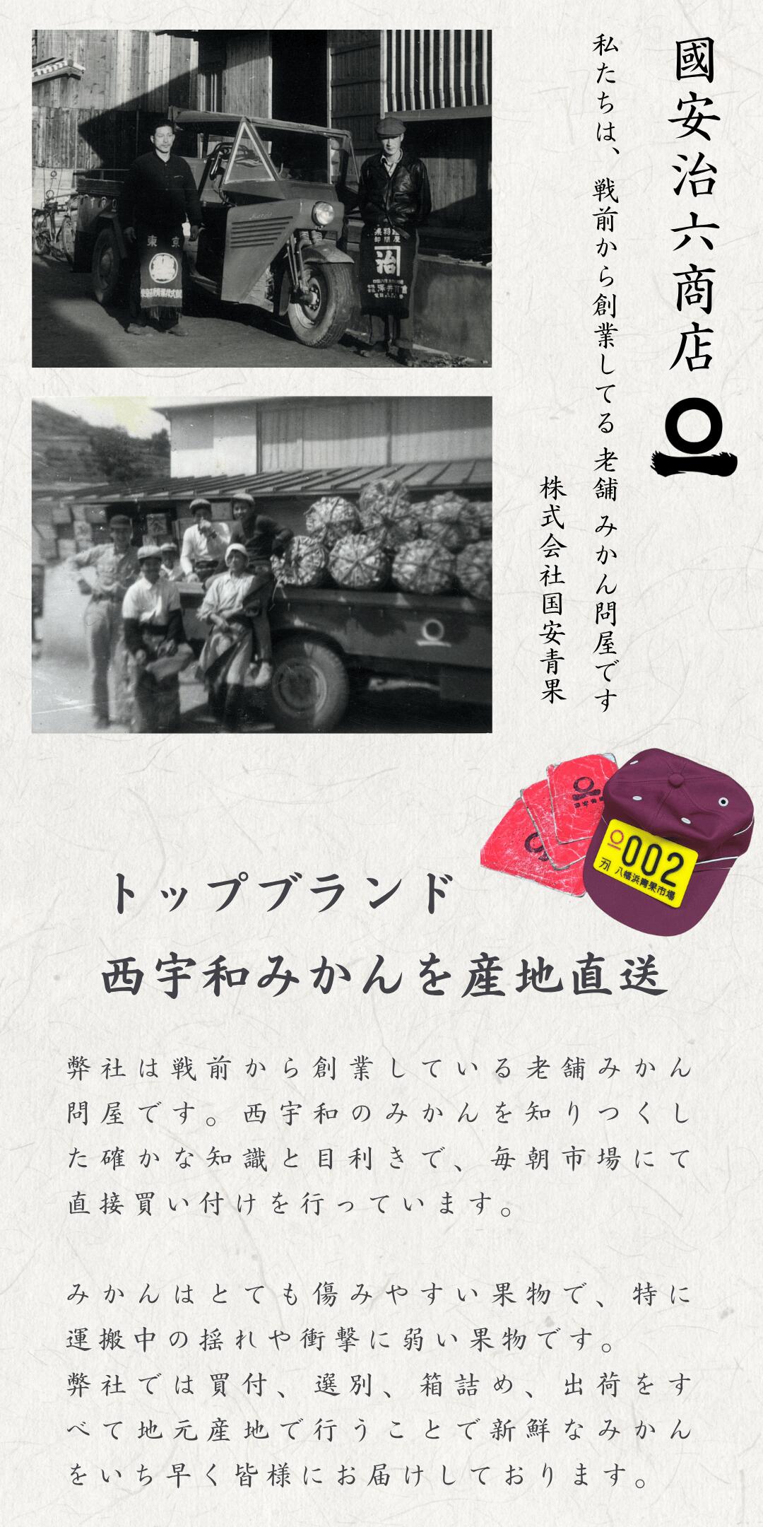 戦前より創業の老舗みかん問屋