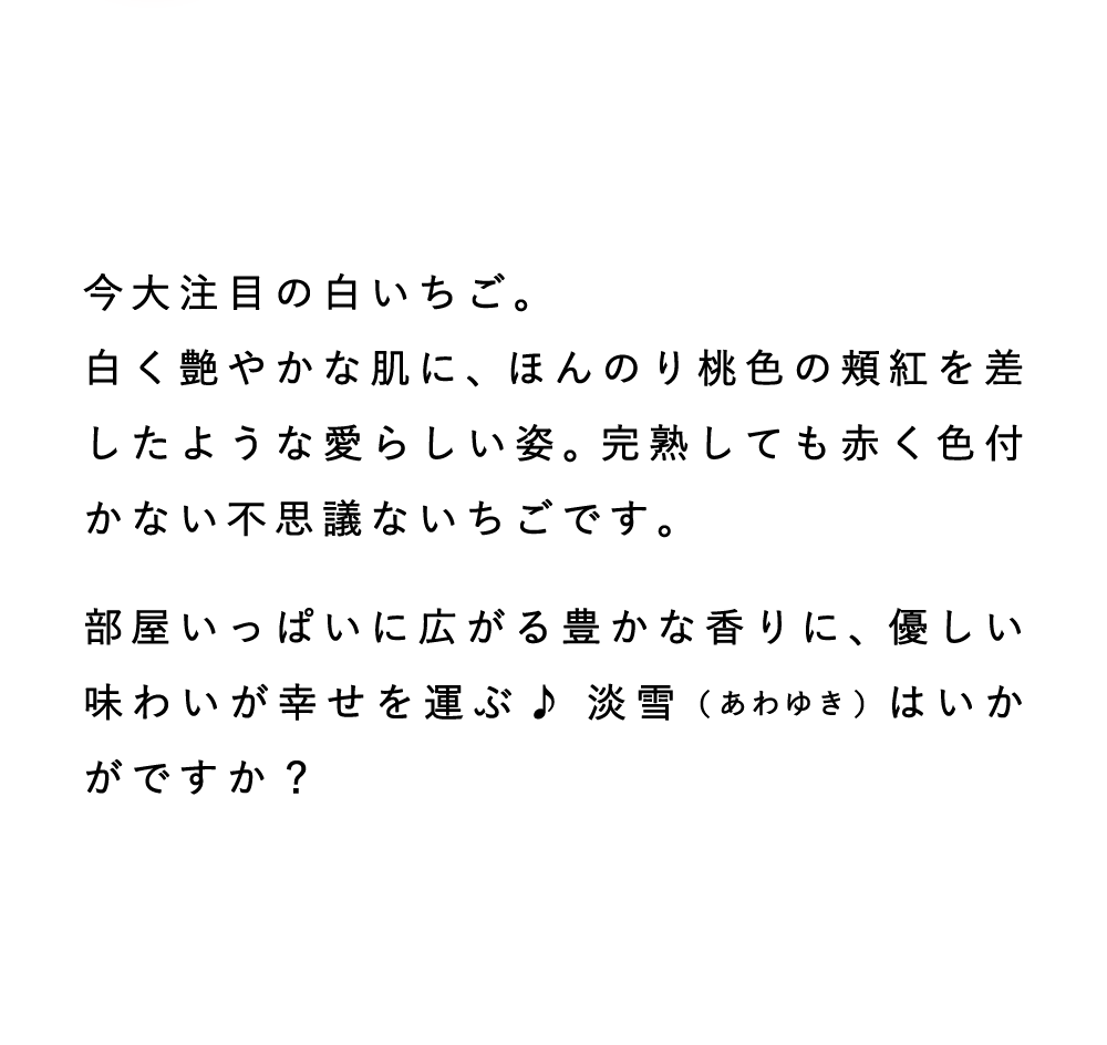 説明