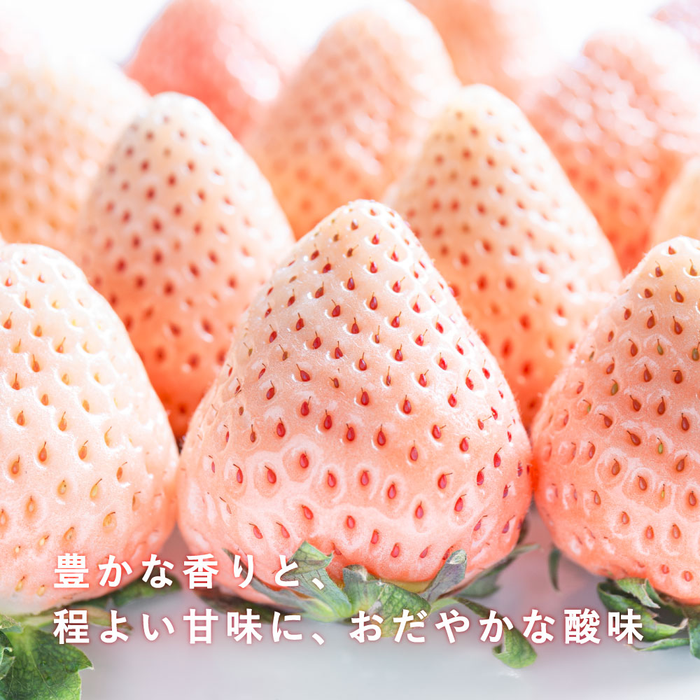 淡いピンク色がかわいらしい、やさしい甘みの「淡雪」を全国にお届け