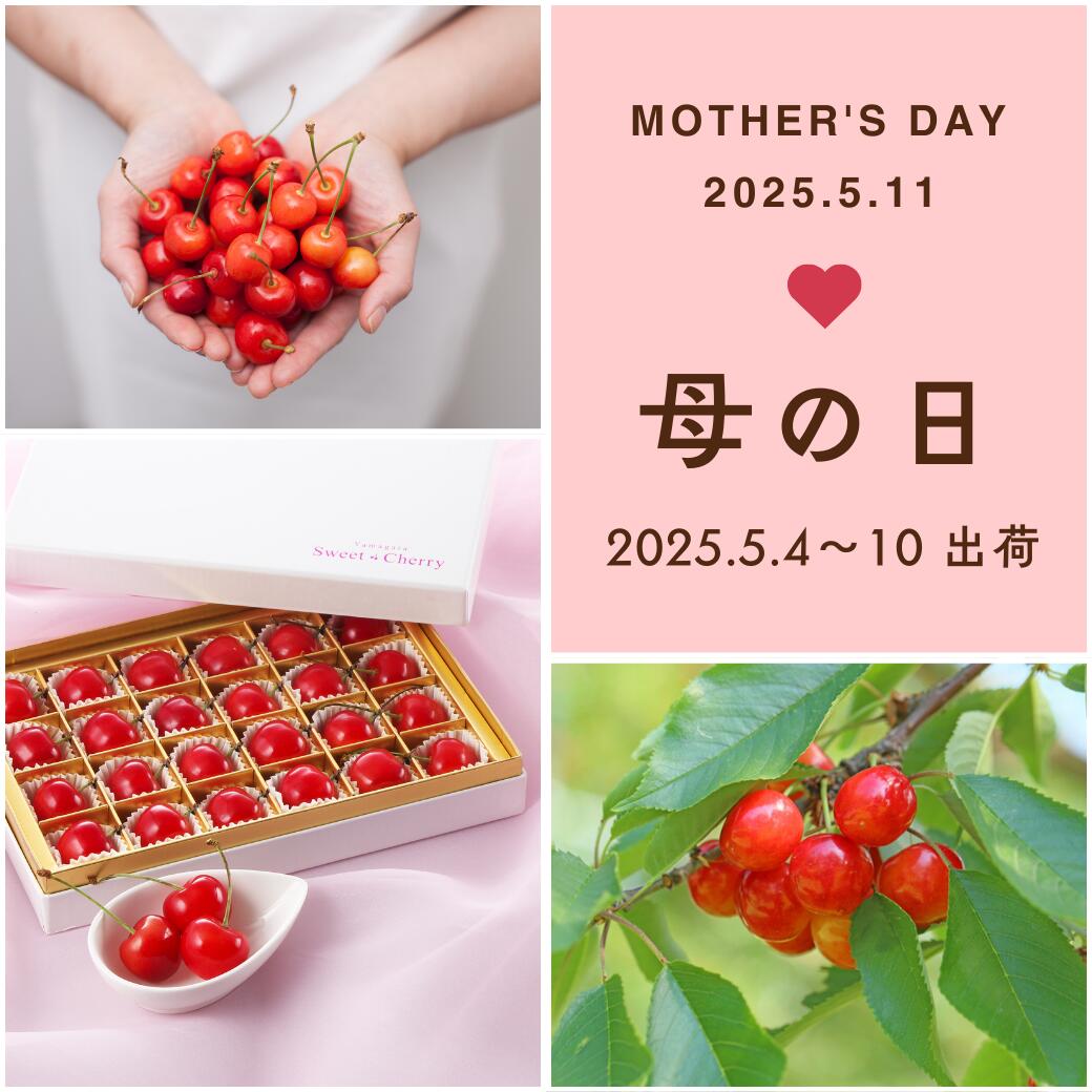 母の日1