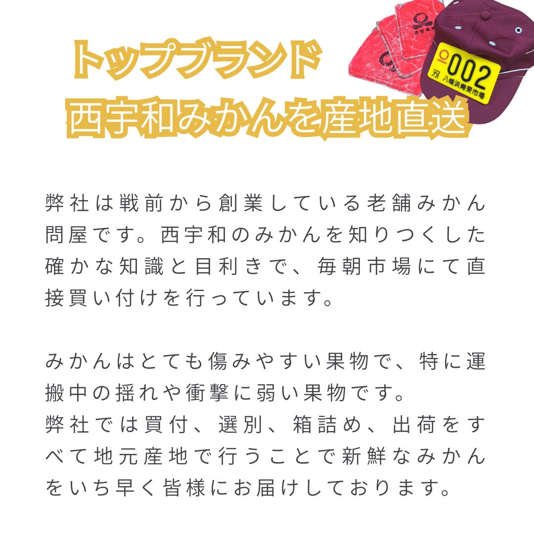 トップブランド