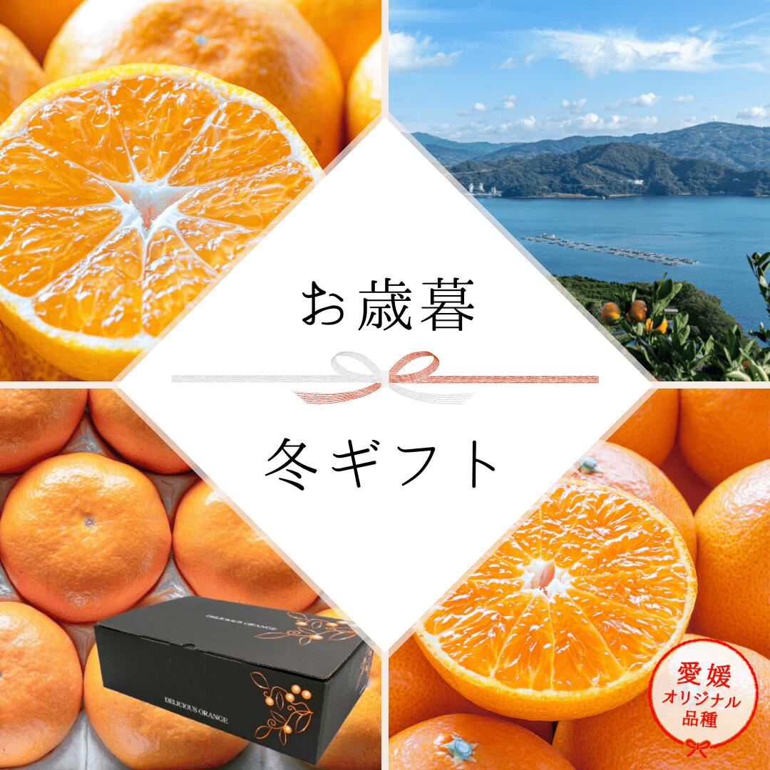 愛媛県西宇和みかんのご予約受付中！ご家庭用から親しい方へのギフトにも