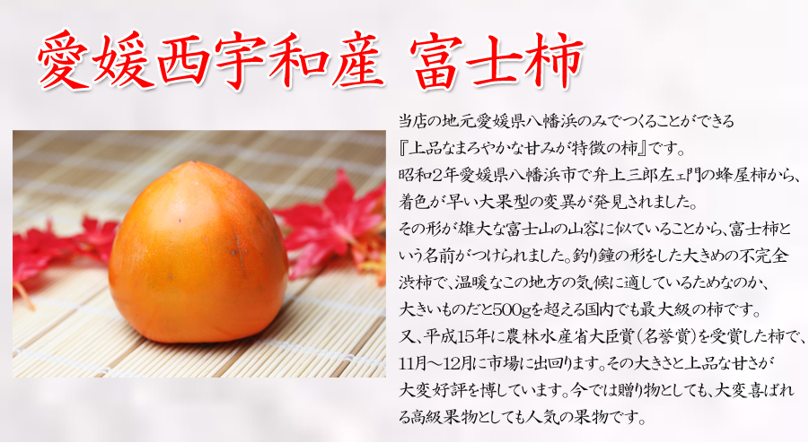 富士柿について1
