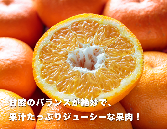 訳ありいよかん5×2」【送料無料】【訳あり】愛媛産伊予柑 訳あり10kg