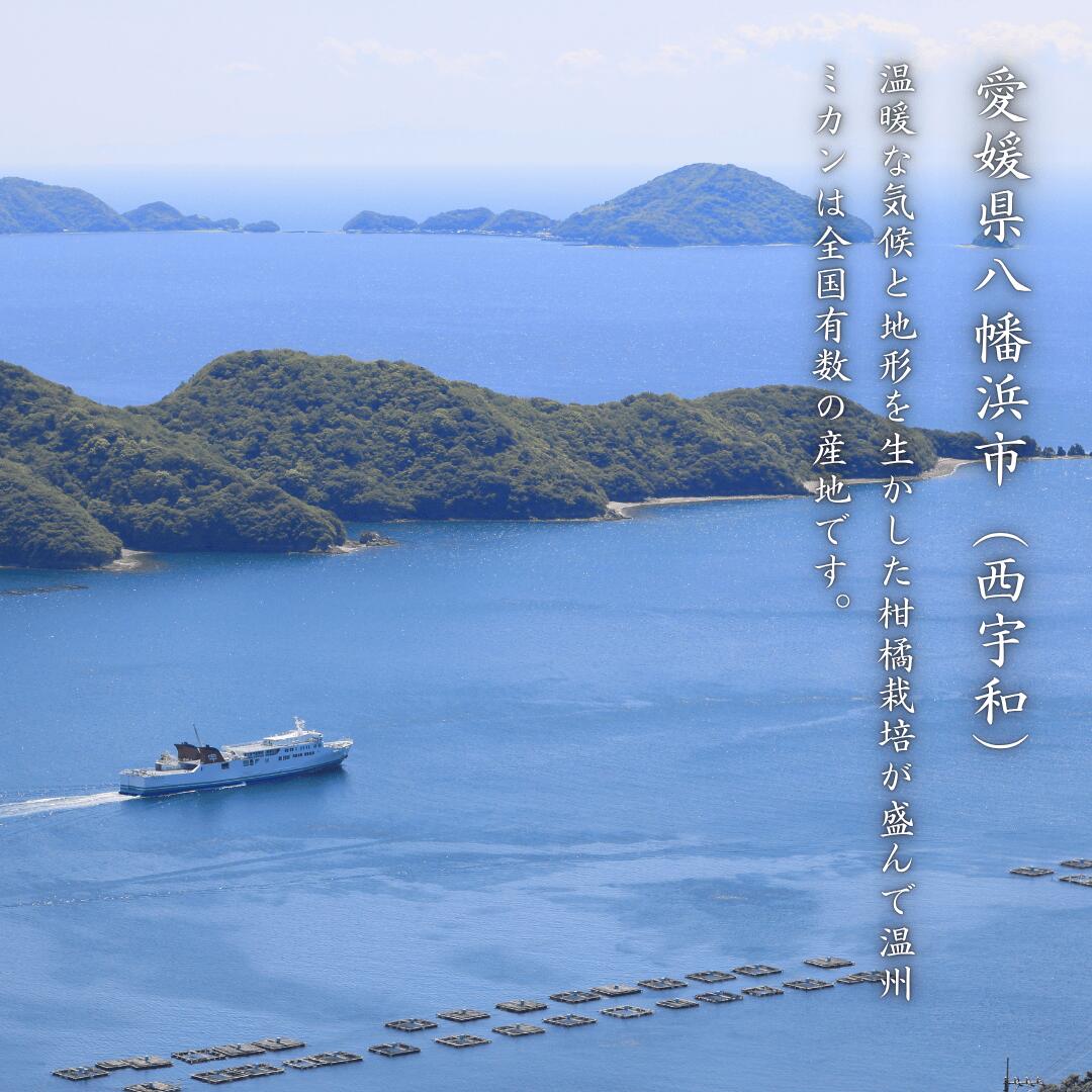 まずは少量から試したい方におすすめ！愛媛西宇和産のニューサマー
