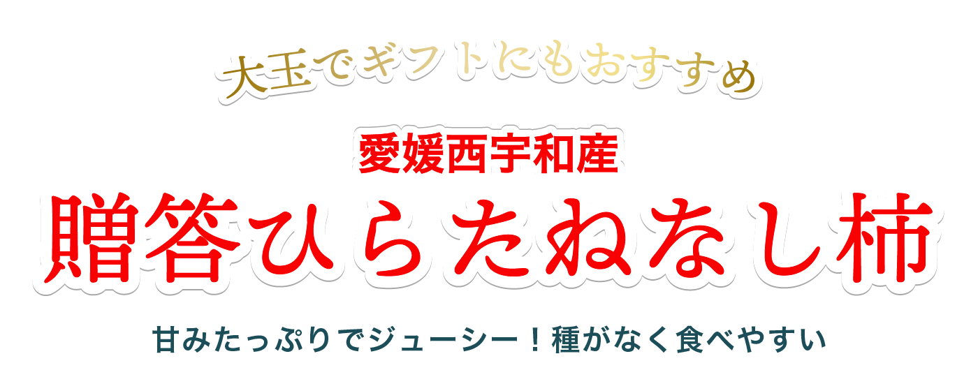 贈答用ひらたねなし柿