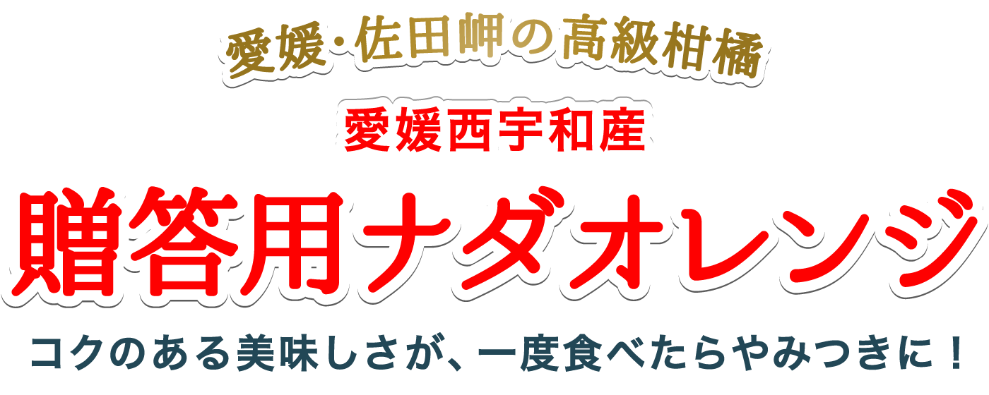 タイトル