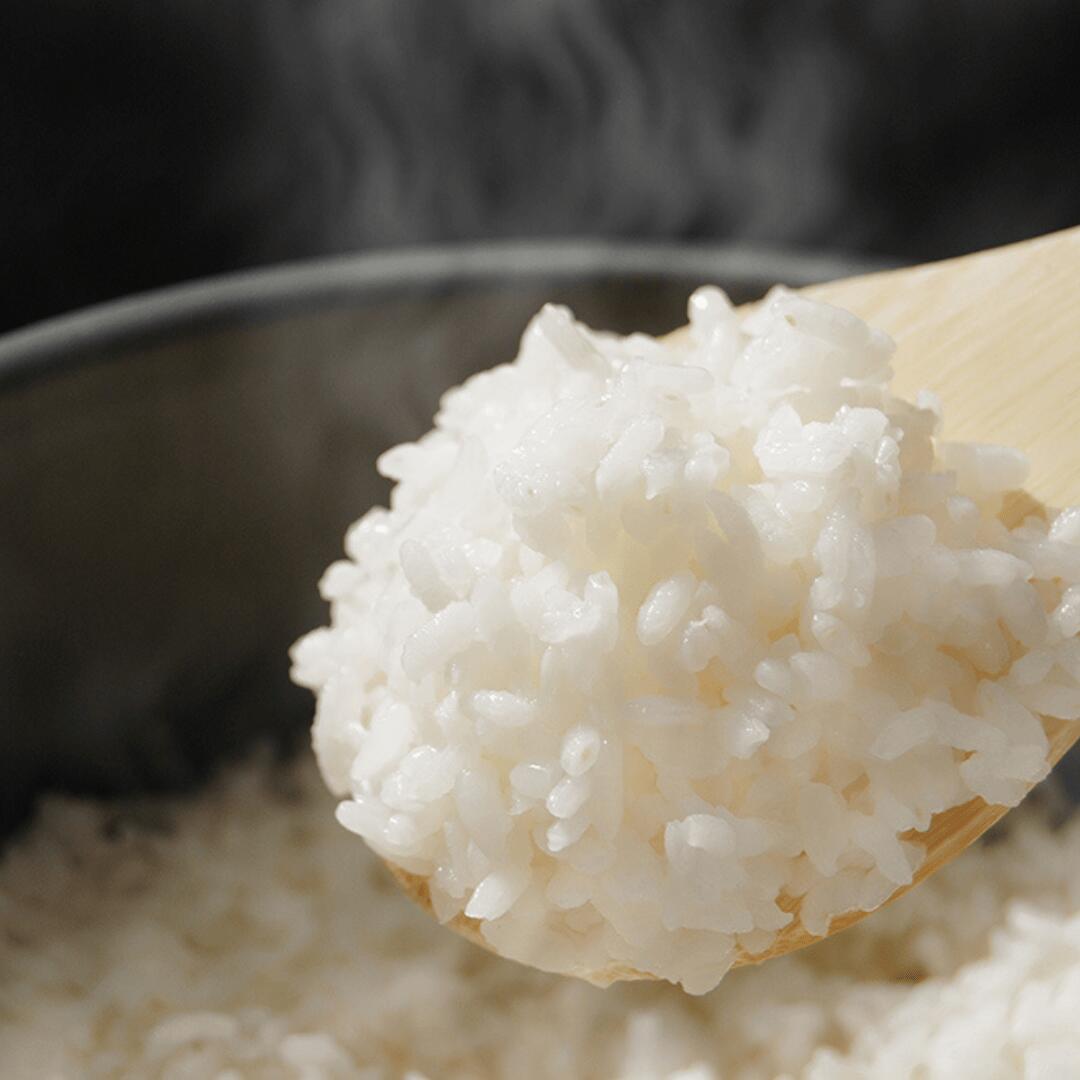 ごはんイメージ2