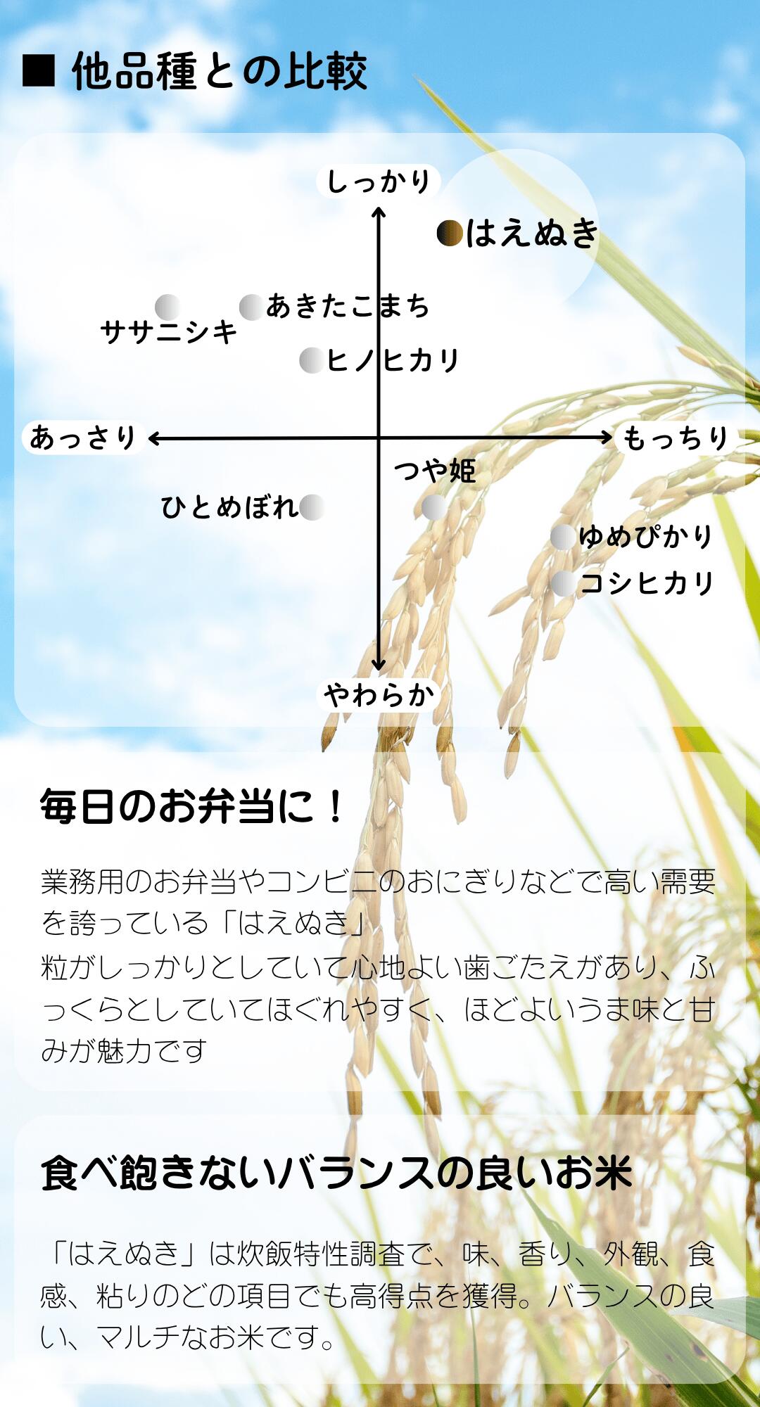 はえぬきの特徴