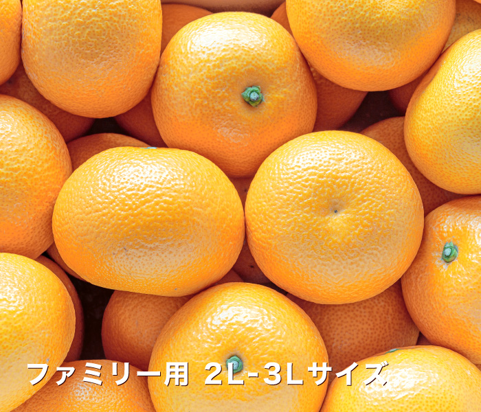 ファミリーはっさくイメージ
