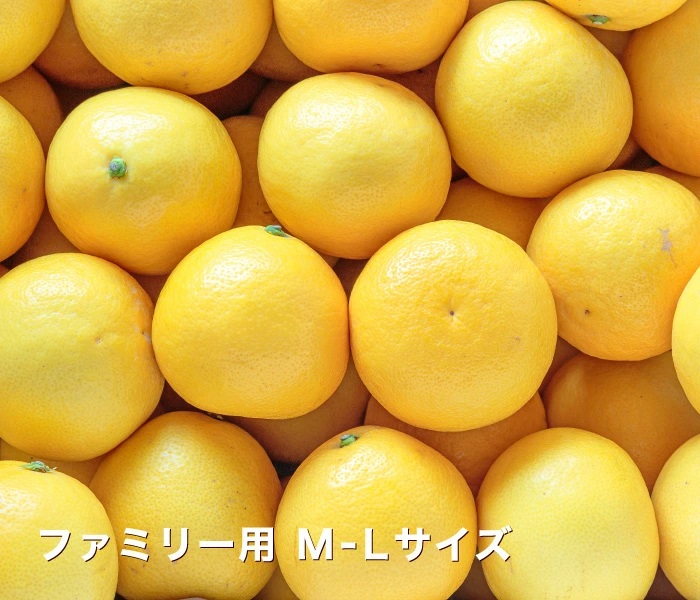 ファミリーイメージ