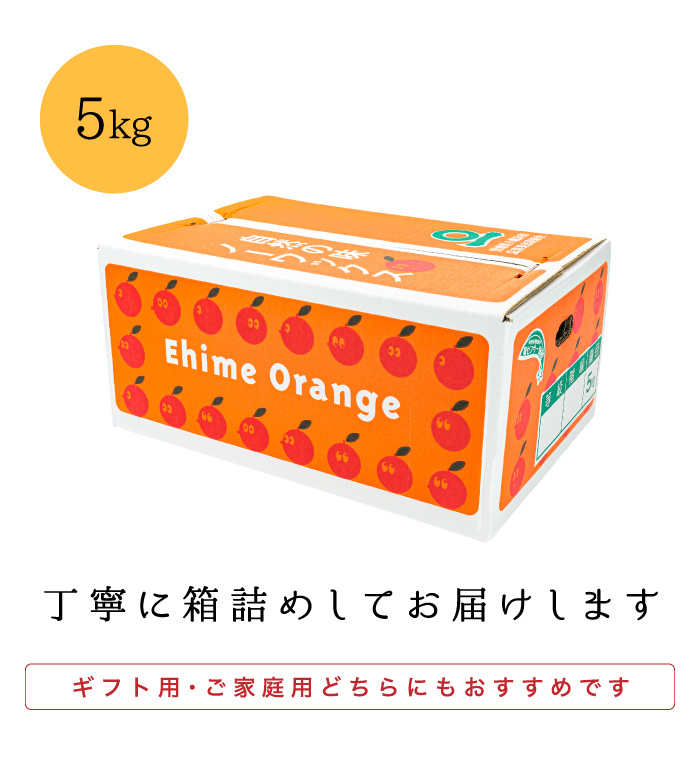 梱包