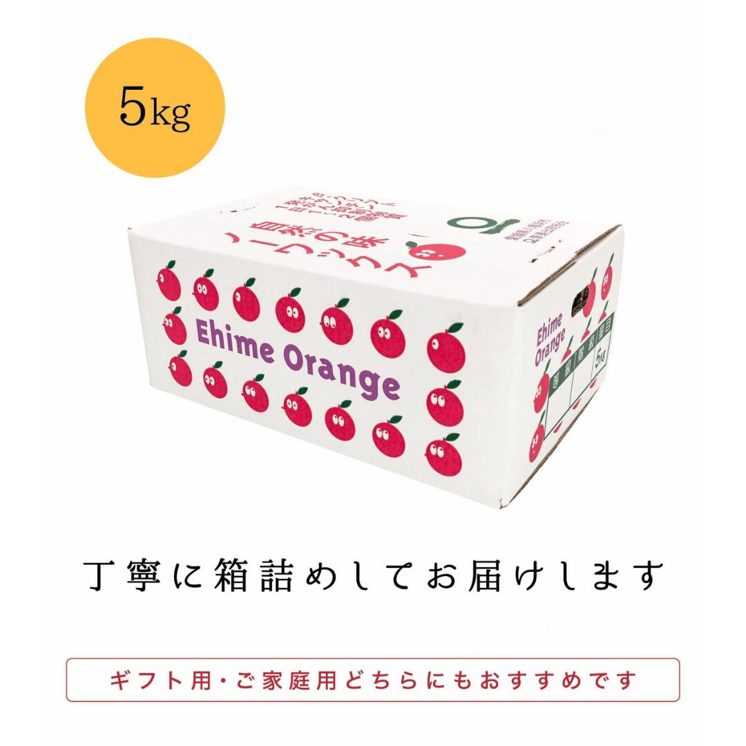 箱
