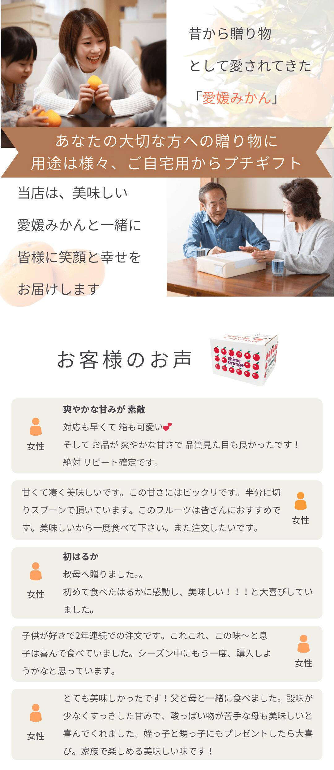 上品な甘みの愛媛はるかを西宇和地方より産地直送【お試し3kg】