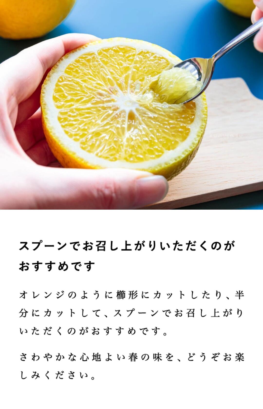 はるかみかん 3L 9キロ 長崎県西海市産 はるか みかん 訳あり 箱込10キロ（9kg+保証分500g）みかん 熊本産