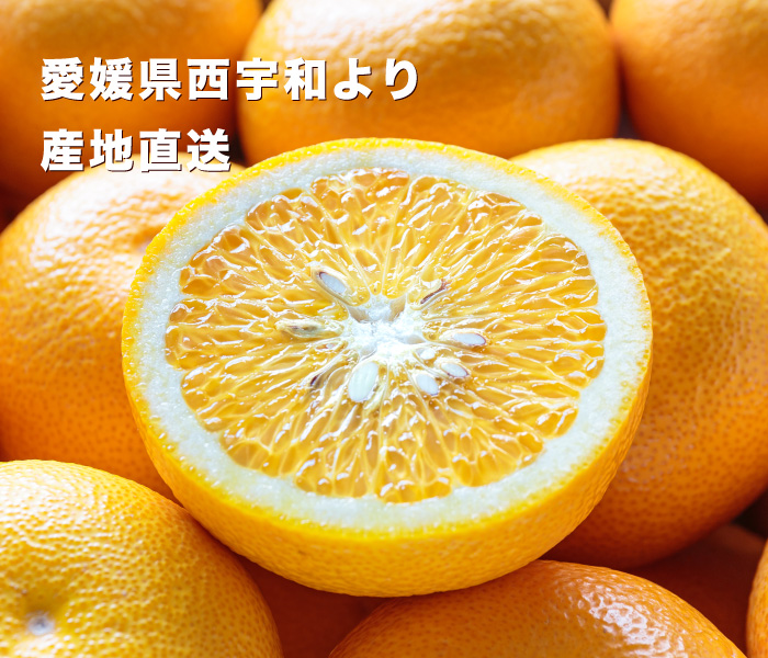 はっさくイメージ