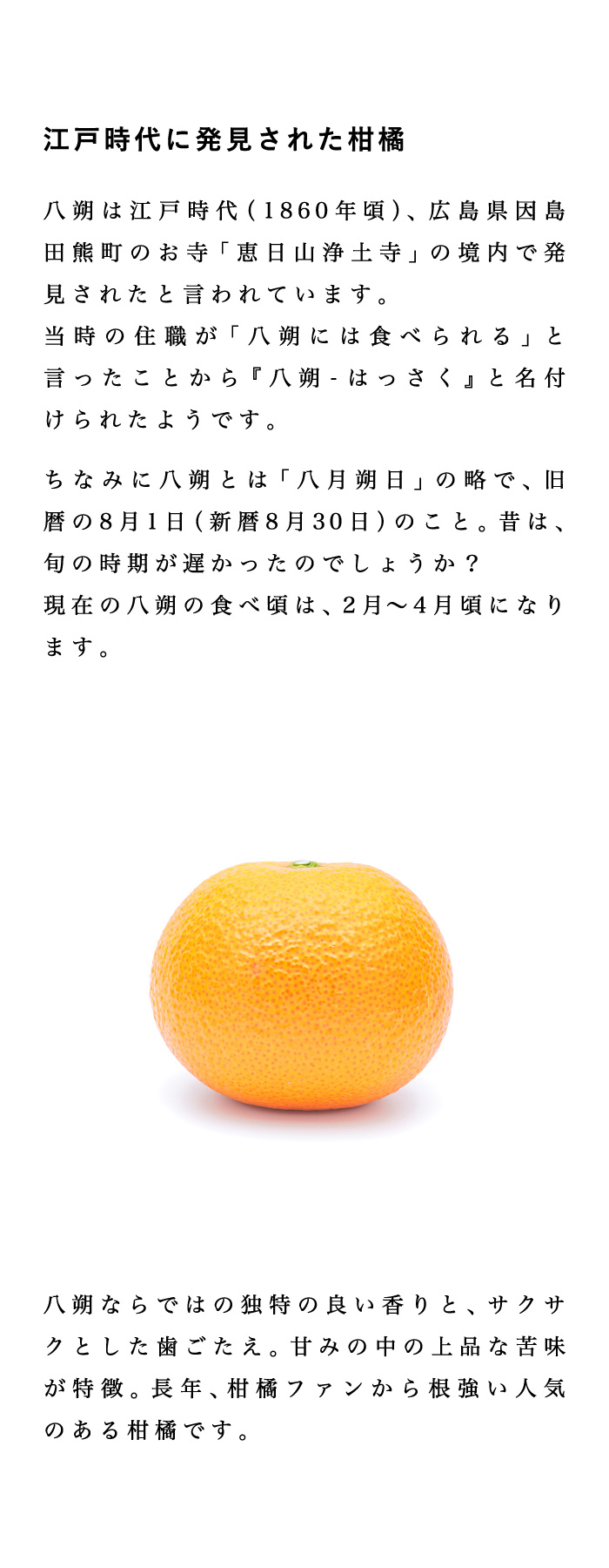 説明