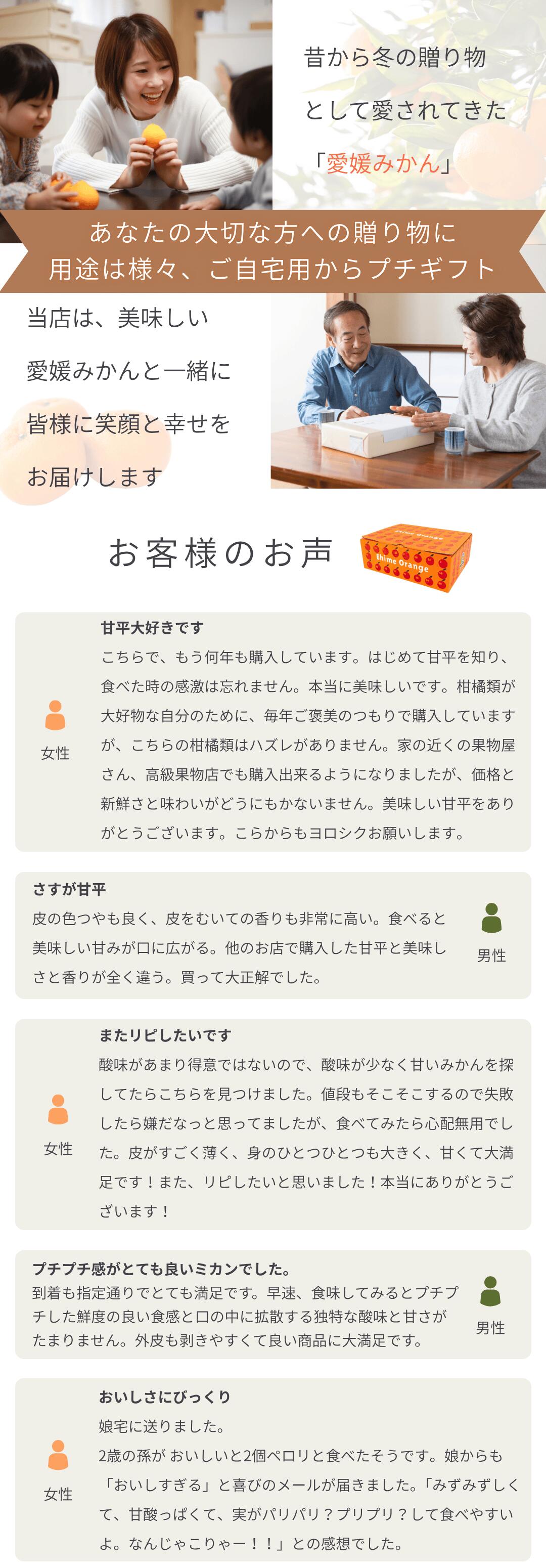 愛媛オリジナル品種の希少柑橘・甘平をお値打ち価格で販売中【訳あり10kg】