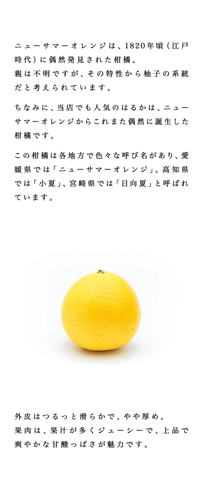 説明