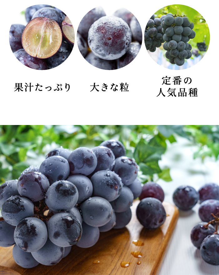 巨峰