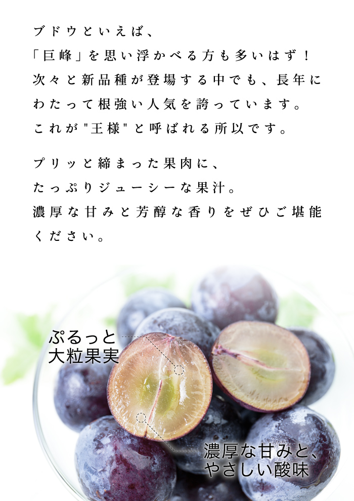 説明