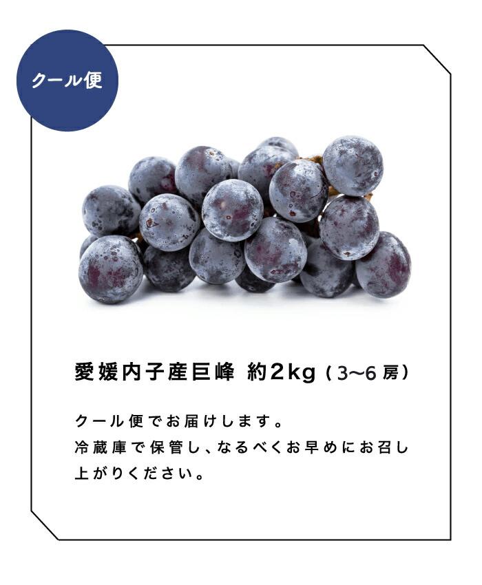 商品ラインナップ