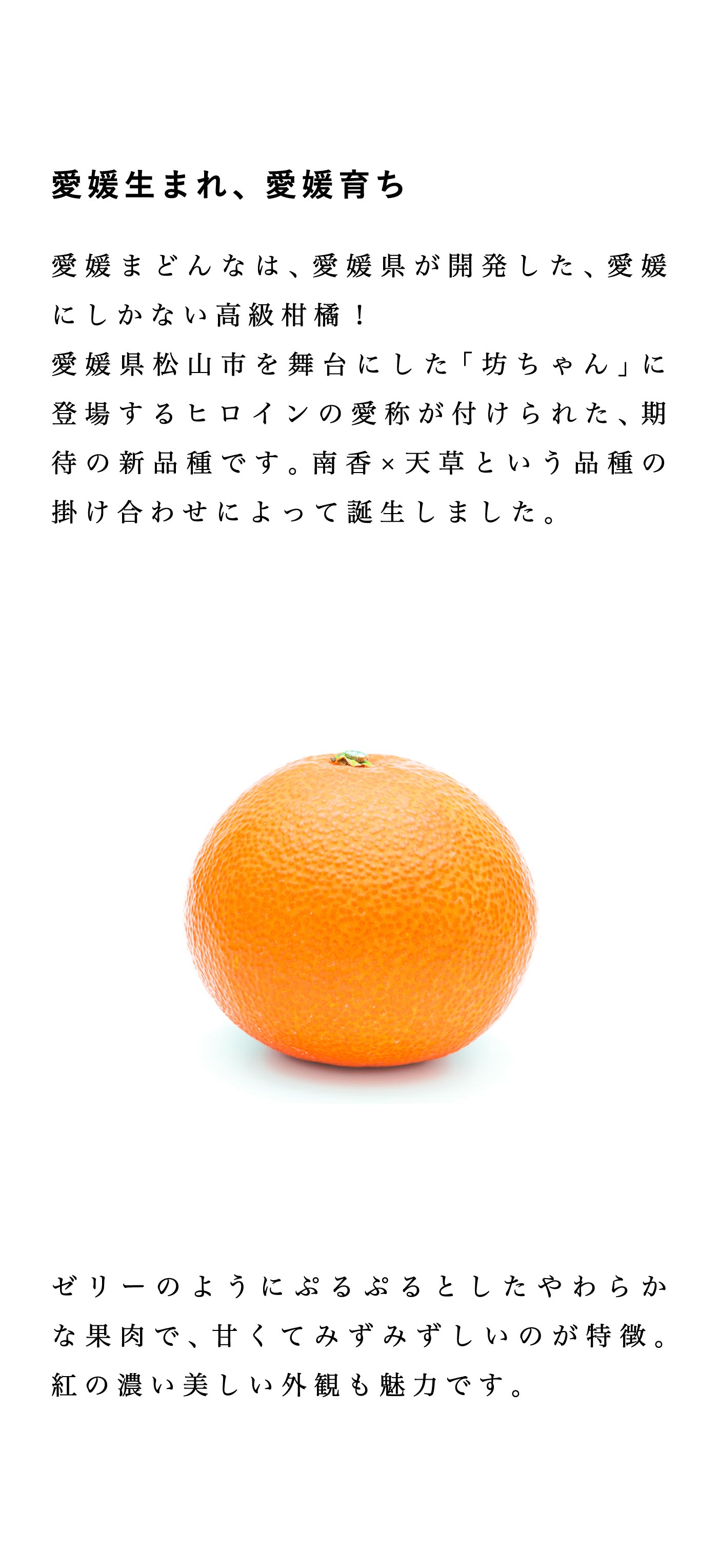 愛媛まどんなについて