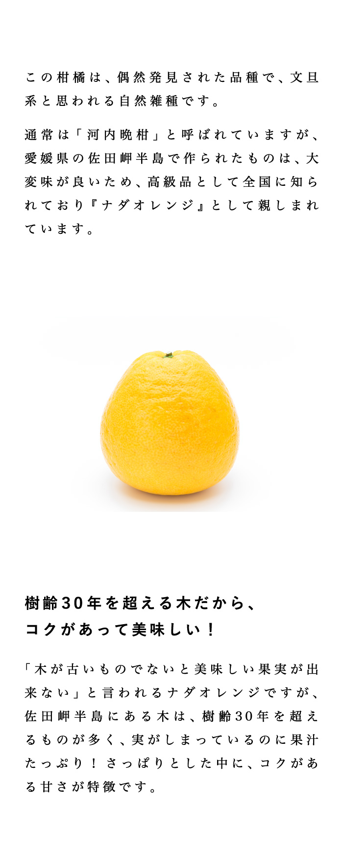 説明