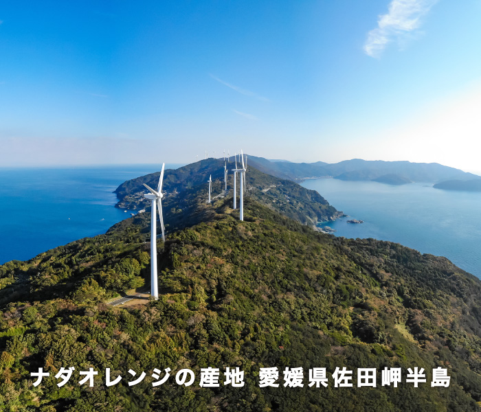 産地イメージ